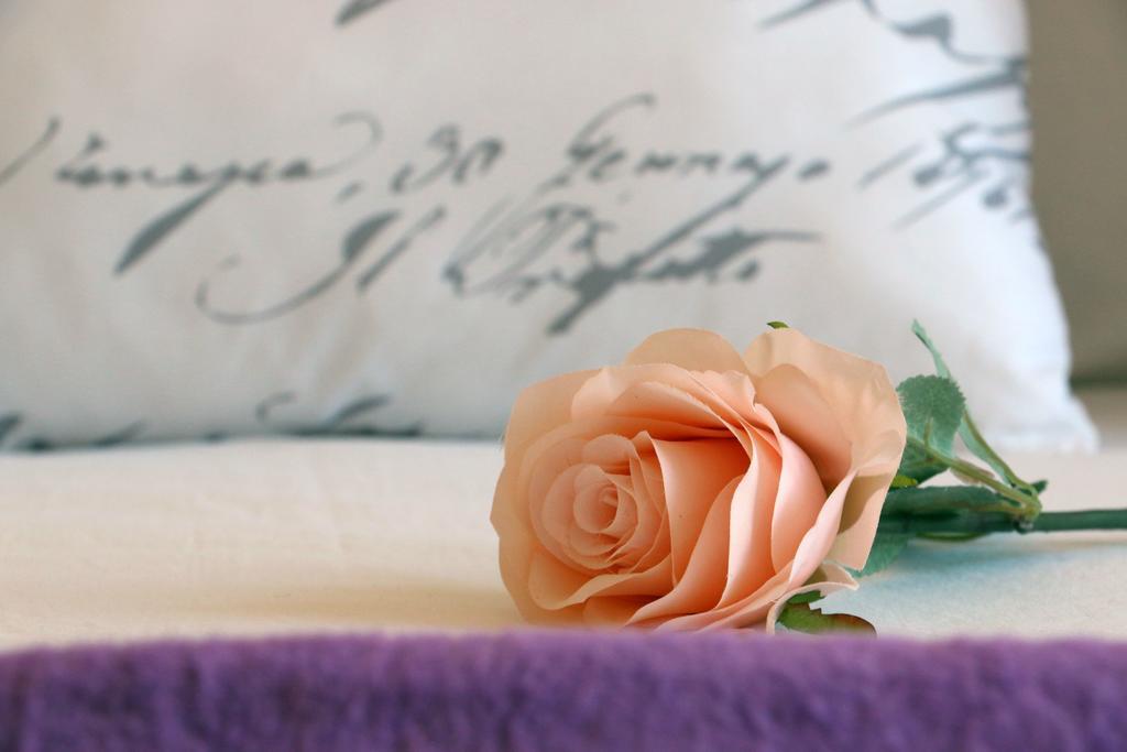Blue Rose Lejlighed Trogir Eksteriør billede